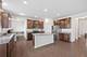 1523 Bayou Path, Naperville, IL 60563