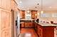 6067 N Oconto, Chicago, IL 60631