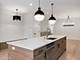 1521 W 17th Unit 1, Chicago, IL 60608