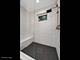 1521 W 17th Unit 1, Chicago, IL 60608