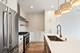 1521 W 17th Unit 3, Chicago, IL 60608