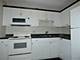 10 E Ontario Unit 1710, Chicago, IL 60611