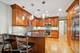 1036 N Oak Park, Oak Park, IL 60302