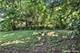 67 Wells, Fox Lake, IL 60020