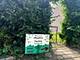 6415 S Kimbark Unit 3, Chicago, IL 60637