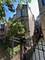 4917 S Washington Park, Chicago, IL 60615