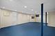390 Birch, Winnetka, IL 60093