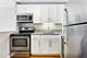 88 W Schiller Unit 805, Chicago, IL 60610
