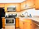 3100 S King Unit 601, Chicago, IL 60616