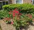 10369 Dearlove Unit 1H, Glenview, IL 60025