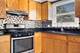 10358 S Avenue O, Chicago, IL 60617