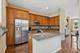 743 W 15th, Chicago, IL 60607