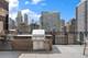 1255 N State Unit 3D, Chicago, IL 60610
