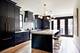 2106 N Campbell, Chicago, IL 60647