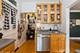 242 S Maple Unit 3W, Oak Park, IL 60302