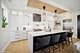 1543 N Wieland Unit PH-N, Chicago, IL 60610
