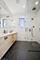 1543 N Wieland Unit PH-N, Chicago, IL 60610