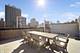 1543 N Wieland Unit PH-N, Chicago, IL 60610