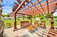 8924 Woodbine, Tinley Park, IL 60487