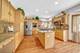 8924 Woodbine, Tinley Park, IL 60487