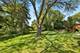 808 Lill, Barrington, IL 60010
