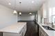 516 Endicott, South Elgin, IL 60177