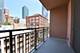 1101 S State Unit 701, Chicago, IL 60605