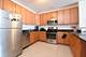1101 S State Unit 701, Chicago, IL 60605