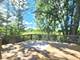 614 Lyon, Buffalo Grove, IL 60089