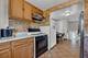 1824 Endicott, Carpentersville, IL 60110