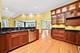 6443 Davane, Downers Grove, IL 60516