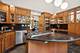 6723 N Greenview, Chicago, IL 60626