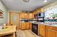 1435 N Kolin, Chicago, IL 60651