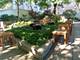 3600 N Lake Shore Unit 2219, Chicago, IL 60613