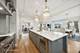 1110 Hickory, Western Springs, IL 60558