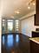 3436 S Wallace Unit 2, Chicago, IL 60616