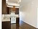 3436 S Wallace Unit 2, Chicago, IL 60616