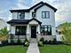 1412 S Vine, Park Ridge, IL 60068