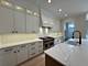 1412 S Vine, Park Ridge, IL 60068