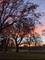 1906 Green Bay, Zion, IL 60099