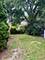 5125 W 101st, Oak Lawn, IL 60453