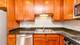 828 W Grace Unit 1106, Chicago, IL 60613