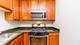 828 W Grace Unit 1106, Chicago, IL 60613