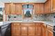 17081 Bonnie Trail West, Oak Forest, IL 60452