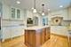 1202 Chateaugay, Naperville, IL 60540