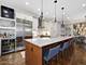 1046 W Altgeld Unit 1N, Chicago, IL 60614