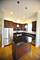 2903 W Irving Park Unit 1, Chicago, IL 60618