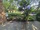 50 Old Oak Unit 114, Buffalo Grove, IL 60089