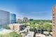 707 W Junior Unit 12, Chicago, IL 60613