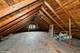 6041 N Marmora, Chicago, IL 60646